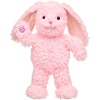 image:imageBuild A Bear Workshop Pink Fluff Pawlette Plush