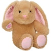 image:imageBuild A Bear Buddies Pawlette Plush