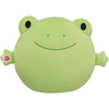 image:imageBuild A Bear Workshop SKOOSHERZ Spring Green Frog Stuffed Animal